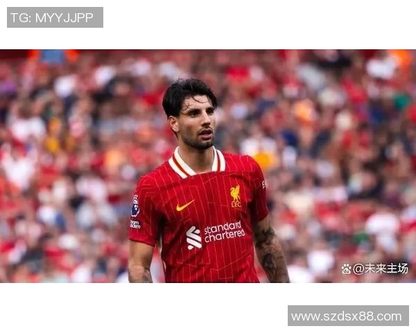 探索索博斯洛伊的历史与文化遗产及其对现代社会的影响